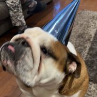 isabelle profile picture