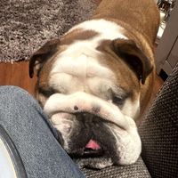 isabelle profile picture