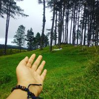 widia profile picture