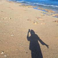 bella profile picture