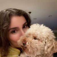 Msiry profile picture