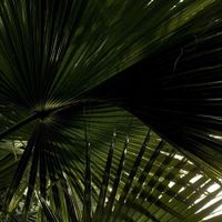 KAITSFINDS profile picture