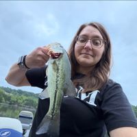 Amanda Birchfield profile picture