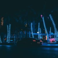 Palme City profile picture