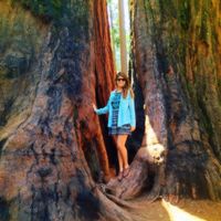 Kate Nelson profile picture