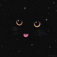 Agona Bytyqi profile picture