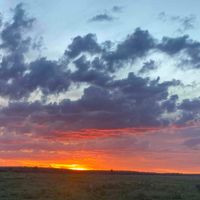 Karen De La Torre profile picture