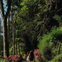 Lexa profile picture