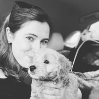 Cat & Arie | @ariepup profile picture