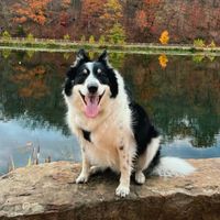 teddyp profile picture