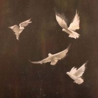 Jovana Milic profile picture