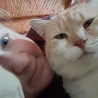 Pamela Naylor profile picture