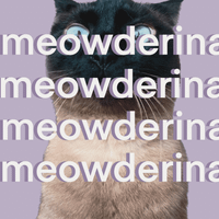 meowderina profile picture