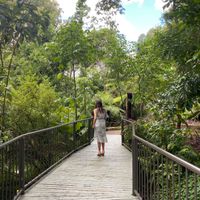 olivia bennett profile picture