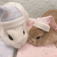 Beautyguru profile picture