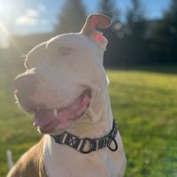 Elizabeth Thomas profile picture