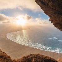 Aleasha Cogdill profile picture