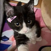 zaina profile picture