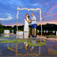 Marci Curtis - The Michigan Wedding Photojournalist profile picture