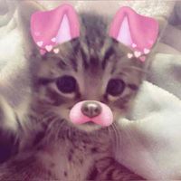 Ellie Pearson profile picture