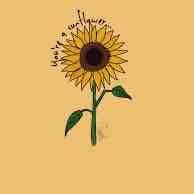 hailey profile picture