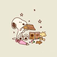 Masha profile picture