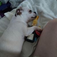 Kelly scott profile picture