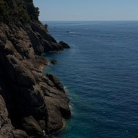 𝓔 🪩🪞🪽🍸 profile picture