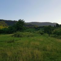 maddy profile picture