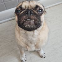 Baby jiggle profile picture
