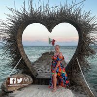 Shel profile picture