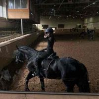 Elsa profile picture
