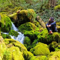 Sabrina profile picture