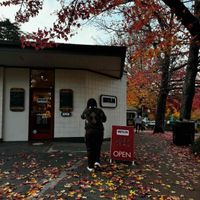 cass 💌 profile picture