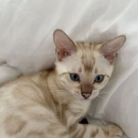 Kristina profile picture
