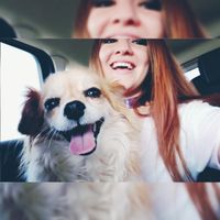 Giada Pillon profile picture