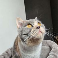 Multi profile picture