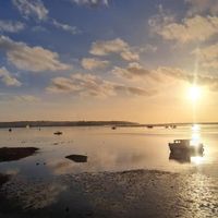 Cxoxo profile picture