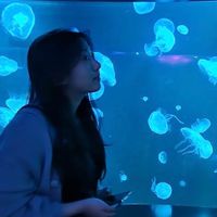 Jewon profile picture