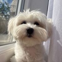 Jovana profile picture