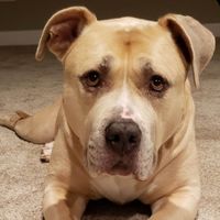 Lois B. profile picture