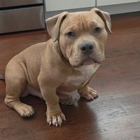 Lois B. profile picture