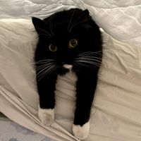 Yana profile picture