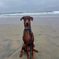 Kaely & Nala profile picture