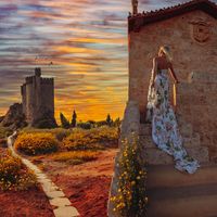 Dragana Dragicevic profile picture
