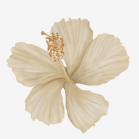 Jana Flair profile picture