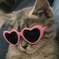 Lasta world profile picture