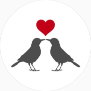 Mockingbird Lane Weddings & Events profile picture