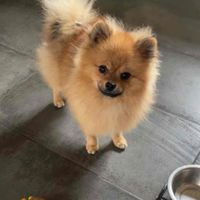 penelop profile picture
