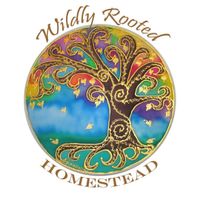 Amanda Treuber profile picture